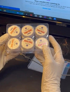 Tiger Gold Mens Power | Natural Tablet